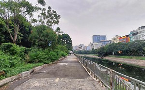 Hà Nội sắp có làn đường dành riêng cho xe đạp