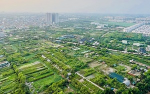 Giao hơn 10 nghìn m2 đất cho huyện Đông Anh xây dựng Trung tâm mầm non thôn Nhuế