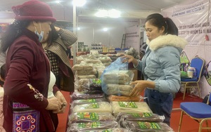 Quảng bá sản phẩm công nghiệp nông thôn, OCOP tại Ba Vì