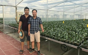 Tăng hiệu quả, năng suất lao động từ nguồn Quỹ hỗ trợ Phát triển HTX