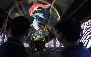 Hà Nội có thêm tour đi bộ ngắm 'đại dương xanh'