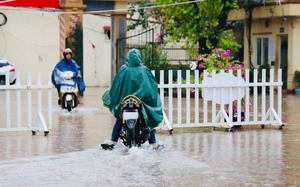 Bảo đảm công tác thoát nước, chống úng ngập khu vực nội thành mùa mưa năm 2024
