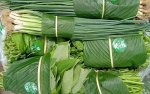 Ứng dụng công nghệ thông tin vào quản lý nông sản