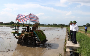 Khi chính sách về phát triển nông nghiệp đi vào cuộc sống