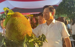 Khai mạc hội chợ OCOP và tôn vinh đặc sản mít Hà Nội