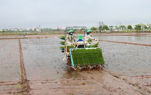 Chuyển biến rõ nét từ ứng dụng cơ giới hóa vào sản xuất nông nghiệp