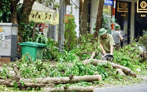 Hà Nội cơ bản giải tỏa cây xanh đổ gãy, bảo đảm an toàn giao thông thuận tiện