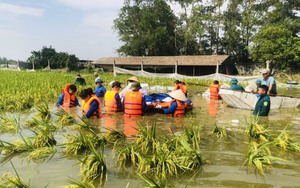 Chung tay khắc phục thiên tai cùng nhân dân vùng lũ