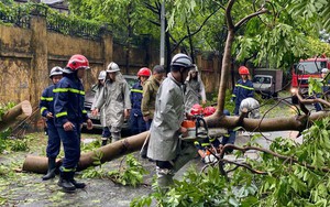 TP. Hà Nội chỉ đạo khẩn về xử lý cây xanh gãy, đổ sau bão Yagi