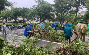 Thanh niên Thủ đô xung kích khắc phục hậu quả bão Yagi