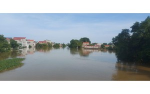 Mực nước trên sông Bùi đã lên báo động 3