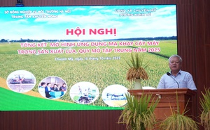 Hiệu quả năng suất từ mô hình mạ khay, cấy máy