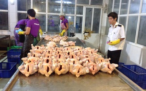 Tăng cường quản lý giết mổ và tiêu thụ sản phẩm động vật đến năm 2030