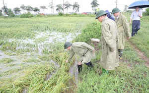 Ứng phó mưa lũ lớn do hoàn lưu bão 11 gây ra