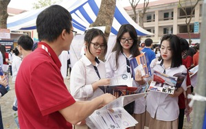 Hà Nội miễn học phí cho học sinh công lập từ năm học 2025-2026