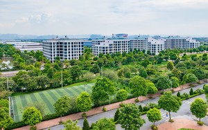 Thúc đẩy phát triển đô thị xanh, thông minh vận hành bằng AI