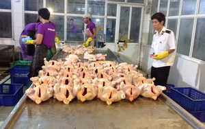 Xử lý dứt điểm 'chợ cóc, chợ tạm' và cơ sở giết mổ nhỏ lẻ