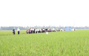 Kiểm soát chất lượng bảo đảm an toàn thực phẩm từ nguồn sản xuất