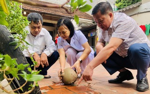 Số ca sốt xuất huyết giảm so với tuần trước