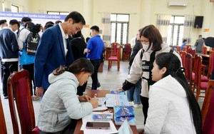 Hà Nội tăng tốc kết nối thông tin thị trường lao động