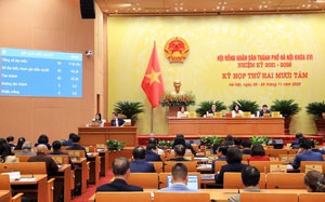 Hà Nội tăng hỗ trợ cho người và cơ sở khắc phục dịch bệnh động vật