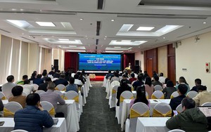 Đẩy mạnh kết nối xuất khẩu nông sản sang thị trường Nhật Bản, Hàn Quốc