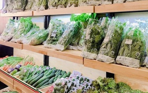 Đẩy mạnh sản xuất rau an toàn ứng dụng công nghệ cao