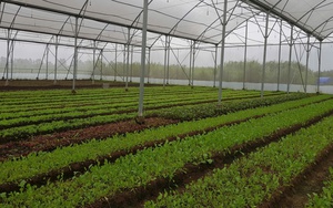 Siết chặt an toàn thực phẩm trước nhu cầu tiêu dùng ngày càng lớn