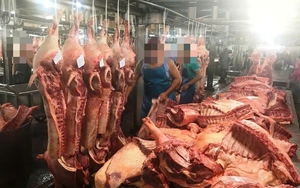 Hà Nội tổng kiểm tra các cơ sở giết mổ để bảo đảm an toàn thực phẩm và dịch bệnh