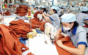 Hỗ trợ doanh nghiệp tận dụng các FTA, mở rộng thị trường xuất khẩu