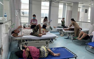 Tăng cường phòng ngừa ngộ độc thực phẩm do vi khuẩn Salmonella