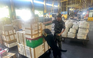 Hải quan khu vực I: Cao điểm chống buôn lậu dịp Tết