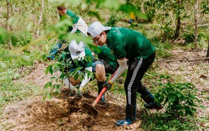 Hà Nội phát động Tết trồng cây Xuân Bính Ngọ, tăng cường quản lý, bảo vệ rừng