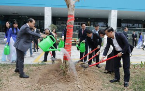 Ngành Y tế Hà Nội phát động 'Tết trồng cây Xuân Ất Tỵ năm 2025'