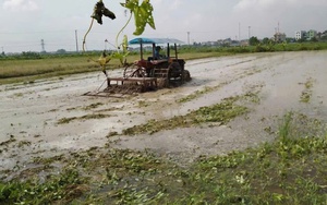 Chung tay xử lý rác thải, bảo vệ môi trường nông nghiệp