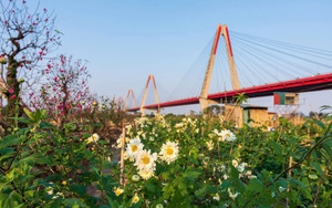 Định vị Tây Hồ trong dòng chảy công nghiệp văn hóa Thủ đô