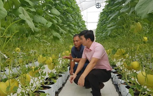 Phát triển mới mô hình ứng dụng công nghệ cao trong sản xuất nông nghiệp