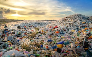 Hà Nội quyết liệt giảm thiểu rác thải nhựa: Hành động từ thể chế đến cộng đồng