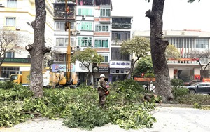 Sẵn sàng các phương án phòng ngừa và ứng phó với mùa mưa bão