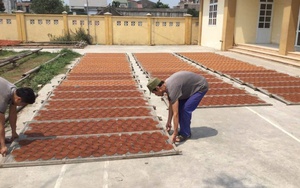 Phát triển làng nghề kết hợp du lịch trải nghiệm