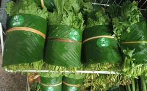 Phát triển nông nghiệp số là yêu cầu tất yếu