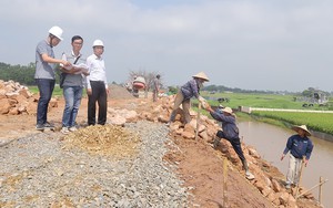 Đẩy nhanh tiến độ các công trình, bảo đảm an toàn đê điều mùa mưa bão