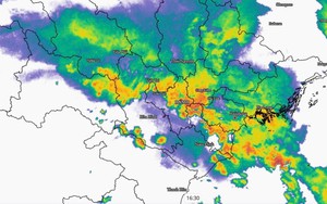 Hà Nội chủ động các biện pháp ứng phó bão Wipha