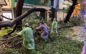 Hà Nội khắc phục ngay tình trạng cây xanh gãy, đổ do ảnh hưởng của trận dông lốc