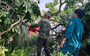 Hà Nội chủ động, tập trung ứng phó với cơn bão số 3
