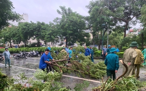 Thanh niên tình nguyện xung kích, ứng phó khẩn cấp với bão số 3
