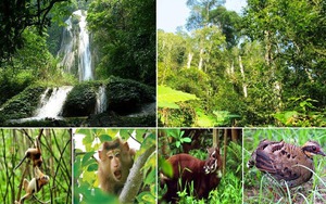 Hà Nội triển khai đề án liên kết vùng trong bảo tồn đa dạng sinh học