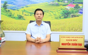 Hà Nội tăng cường xây dựng, chỉnh đốn Đảng: Nền tảng vững chắc cho phát triển - Ảnh 2. Sở NN&MT: Khẳng định vai trò hạt nhân lãnh đạo, xây dựng Đảng bộ trong sạch vững mạnh