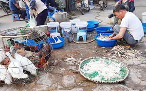 Hà Nội xử lý dứt điểm chợ tự phát và giết mổ nhỏ lẻ trong năm 2025