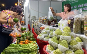 Khai mạc Tuần hàng trái cây và nông sản các tỉnh, thành phố năm 2025